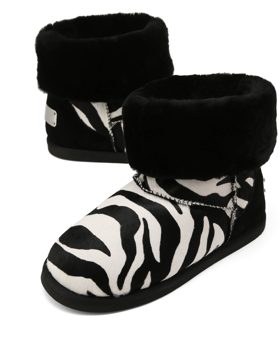 Honour Zebra