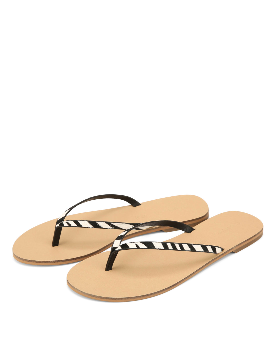 Romy Zebra