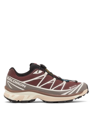 M XT-6 GTX Bitter Chocolate/Iron L49215200